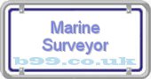 marine-surveyor.b99.co.uk